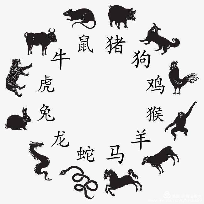 七擒七纵打一生肖是什么生肖，全面释义、时代解答解释落实
