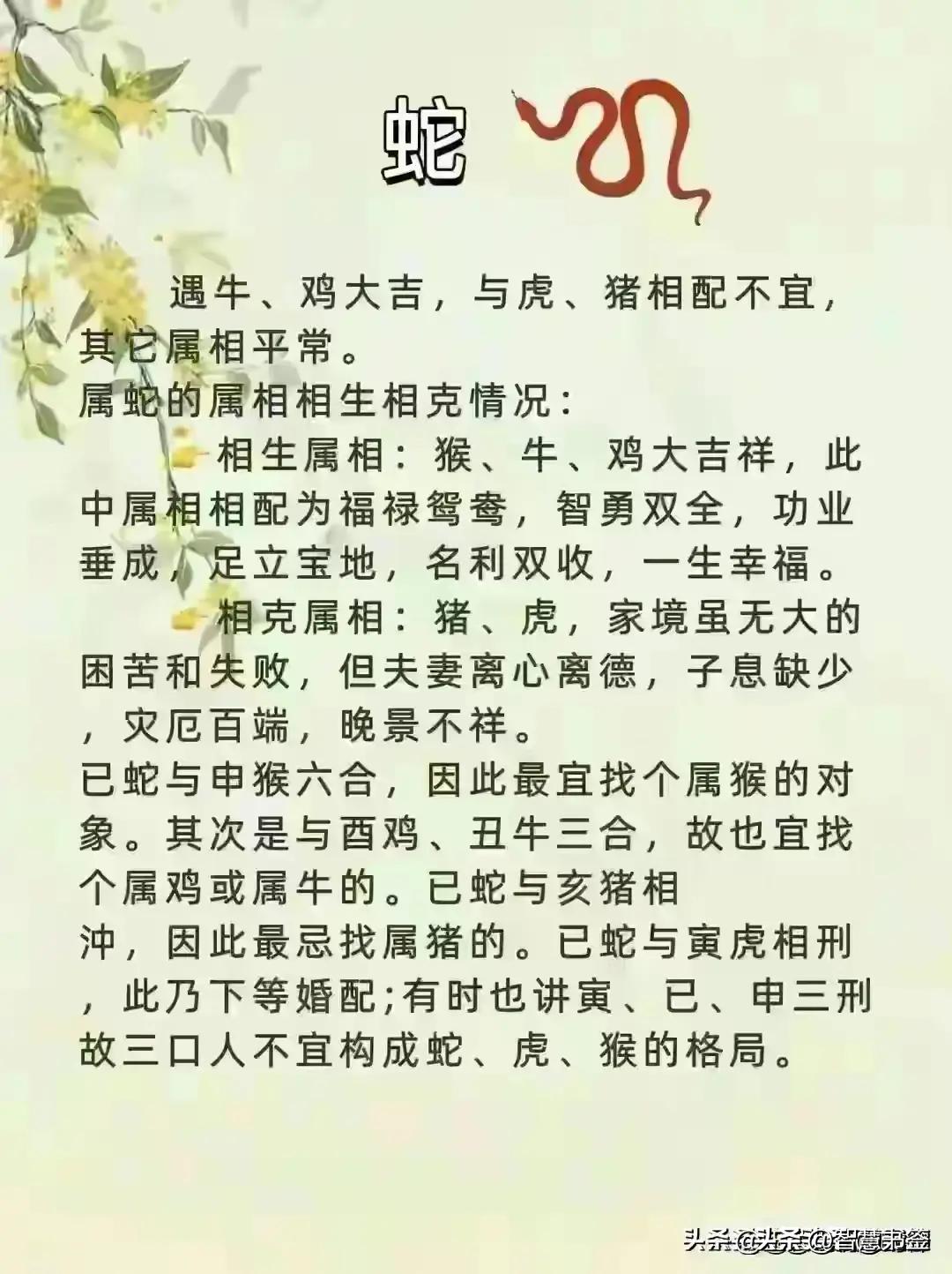 诗中玄机一四八,看对玄机包你中什么生肖详细解答、解释与落实、实证解答解释落实