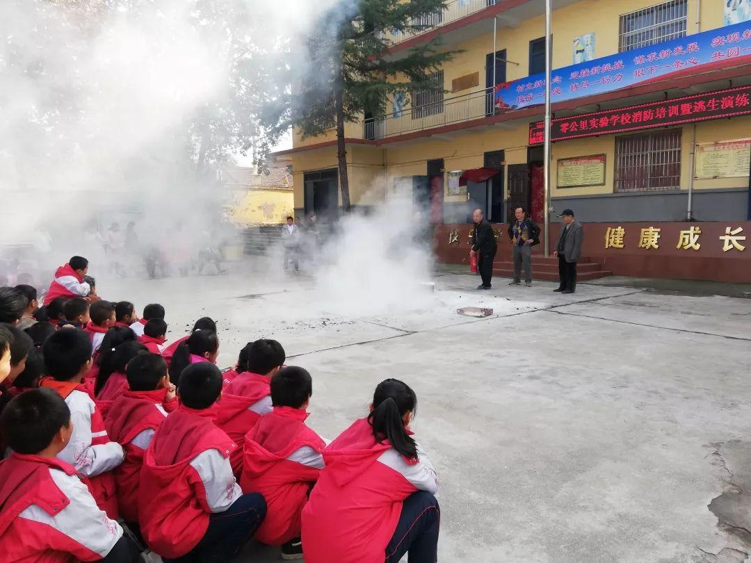 一三连出也不厅，今生无悔九九情打一准确生肖，详细解答、构建解答解释落实