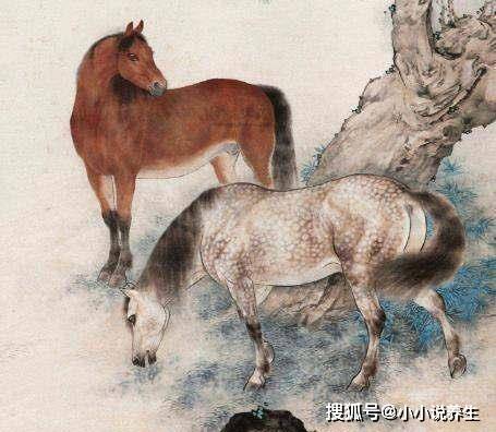 四不两立长恨丽打一正确生肖，全面释义、深度解答解释落实