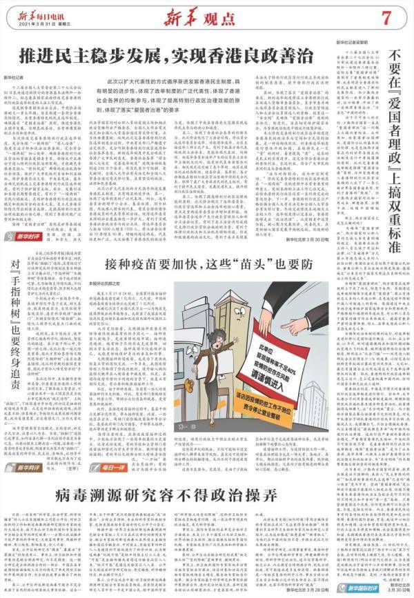 精卫填海意志坚打一最佳生肖全面释义、综合解答解释落实