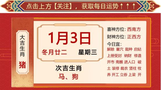 今期生肖三三开,十二生肖最呆萌打生肖请全面释义、解释与落实、科学解答解释落实
