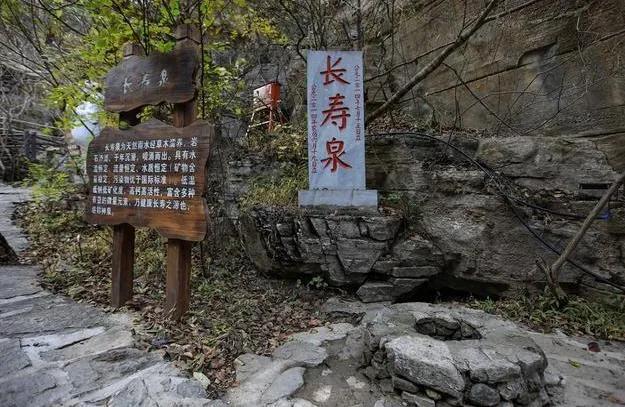 直眉瞪眼打一最佳生肖,警惕虚假宣传落实,综合解答解释落实