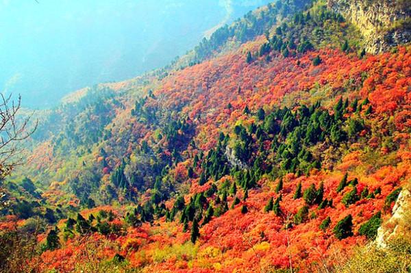 小山俩坐青山绿指什么生肖,警惕虚假宣传,科学解答解释落实