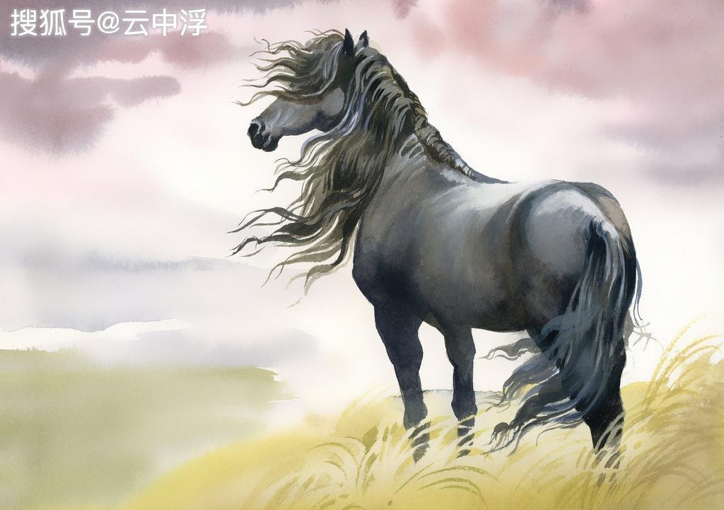 马走牛来是时机不为小利误前途是什么生肖与警惕虚假宣传-全面释义、综合解答解释落实