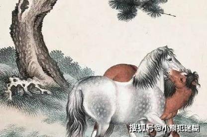 四不两立长恨丽打一正确生肖，全面释义、深度解答解释落实